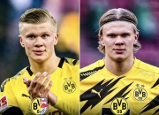 NG体育- 哈兰德28粒进球集锦 