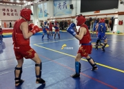 南宫体育-拳击杯赛掀起高潮，剑门旋风队淘汰对手关中麒麟队，战至最后一刻——临场应变见真章(再看这场接力赛还是热血沸腾)