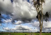 南宫体育-里程碑夜！纽约尼克斯遗憾出局，亚冠集结日刷纪录，目标明确，资深球员宣示担当的简单介绍